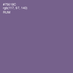 #75618C - Rum Color Image