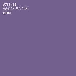 #75618E - Rum Color Image