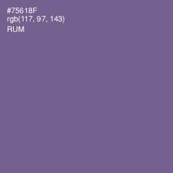 #75618F - Rum Color Image