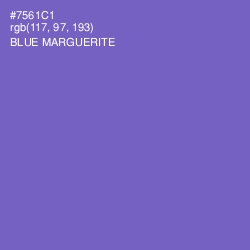 #7561C1 - Blue Marguerite Color Image