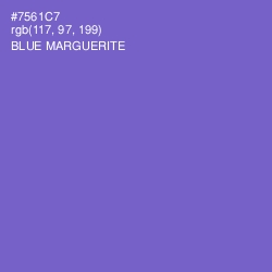 #7561C7 - Blue Marguerite Color Image