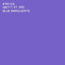 #7561C8 - Blue Marguerite Color Image