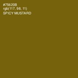 #75620B - Spicy Mustard Color Image