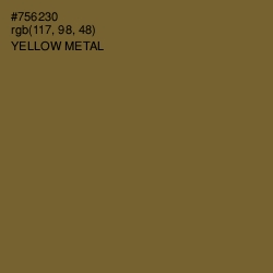 #756230 - Yellow Metal Color Image