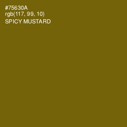 #75630A - Spicy Mustard Color Image