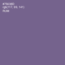 #75638D - Rum Color Image