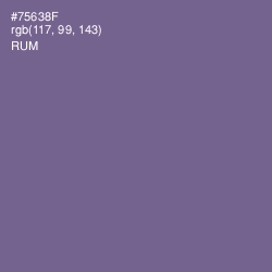 #75638F - Rum Color Image
