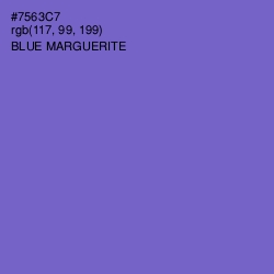 #7563C7 - Blue Marguerite Color Image