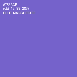 #7563CB - Blue Marguerite Color Image