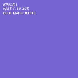 #7563D1 - Blue Marguerite Color Image