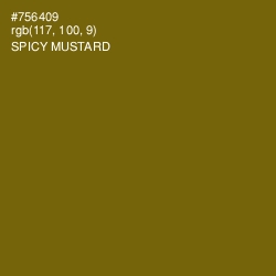 #756409 - Spicy Mustard Color Image