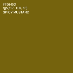 #75640D - Spicy Mustard Color Image