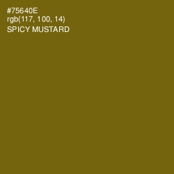 #75640E - Spicy Mustard Color Image