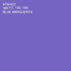 #7564C2 - Blue Marguerite Color Image