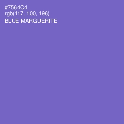 #7564C4 - Blue Marguerite Color Image