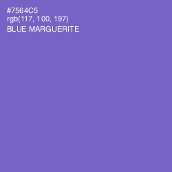 #7564C5 - Blue Marguerite Color Image