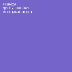 #7564CA - Blue Marguerite Color Image