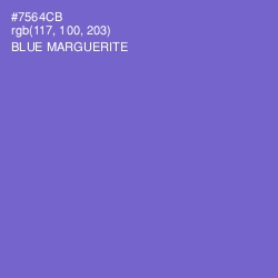 #7564CB - Blue Marguerite Color Image