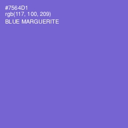 #7564D1 - Blue Marguerite Color Image