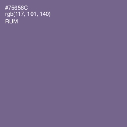 #75658C - Rum Color Image