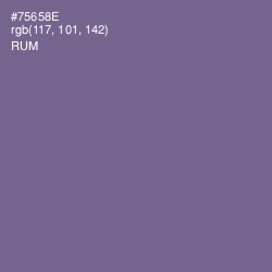 #75658E - Rum Color Image