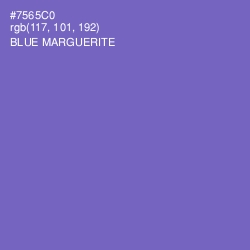 #7565C0 - Blue Marguerite Color Image