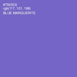 #7565C6 - Blue Marguerite Color Image