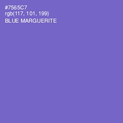 #7565C7 - Blue Marguerite Color Image