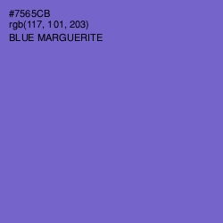 #7565CB - Blue Marguerite Color Image