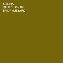 #75660A - Spicy Mustard Color Image