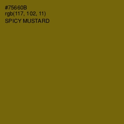 #75660B - Spicy Mustard Color Image