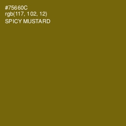 #75660C - Spicy Mustard Color Image