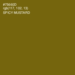 #75660D - Spicy Mustard Color Image