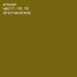 #75660F - Spicy Mustard Color Image