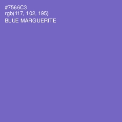 #7566C3 - Blue Marguerite Color Image