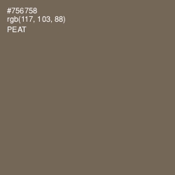 #756758 - Peat Color Image