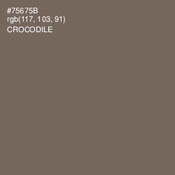 #75675B - Crocodile Color Image