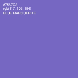 #7567C2 - Blue Marguerite Color Image