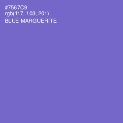 #7567C9 - Blue Marguerite Color Image