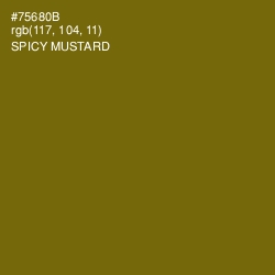 #75680B - Spicy Mustard Color Image
