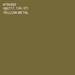 #756839 - Yellow Metal Color Image