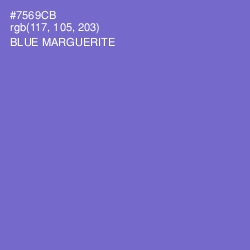 #7569CB - Blue Marguerite Color Image