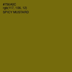 #756A0C - Spicy Mustard Color Image