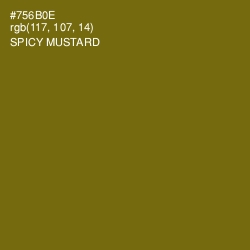 #756B0E - Spicy Mustard Color Image