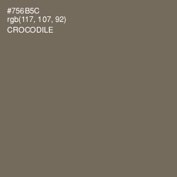 #756B5C - Crocodile Color Image