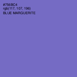 #756BC4 - Blue Marguerite Color Image