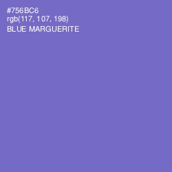 #756BC6 - Blue Marguerite Color Image