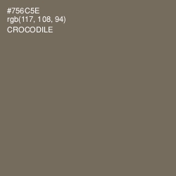 #756C5E - Crocodile Color Image