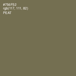 #756F52 - Peat Color Image