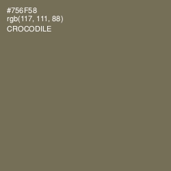 #756F58 - Crocodile Color Image